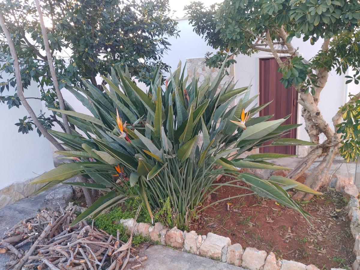 אליסטה Villa Simonetta מראה חיצוני תמונה
