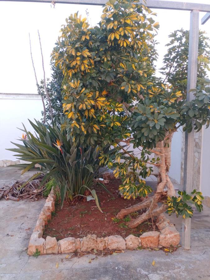 אליסטה Villa Simonetta מראה חיצוני תמונה