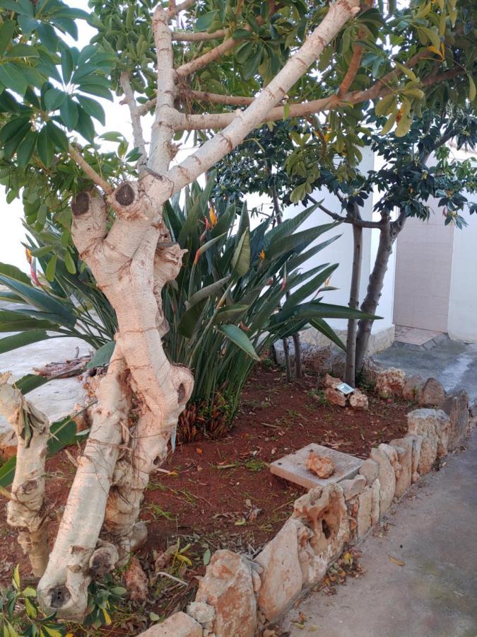 אליסטה Villa Simonetta מראה חיצוני תמונה